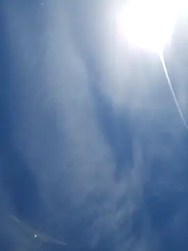 UncutHammer69 webcam show