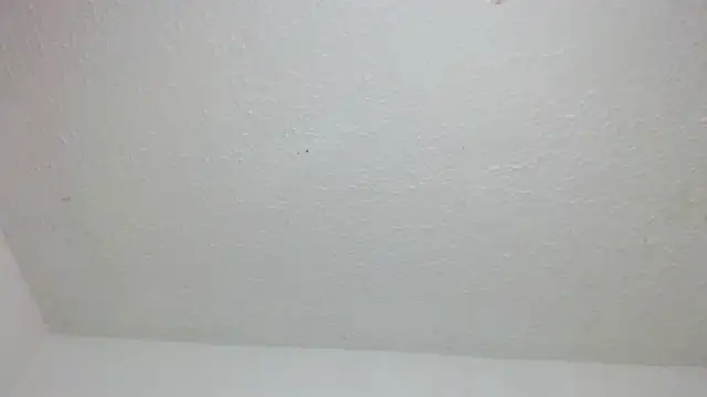 Chatroom XXX en direct de sexy-tean