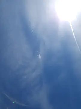 UncutHammer69 即時 XXX 聊天