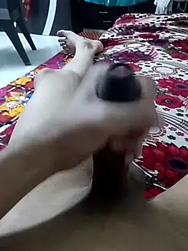 Desi_lund10 网络视讯表演