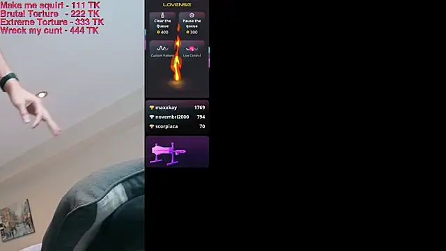 Toronto325 Webcam-Show