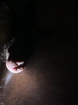 TripleSitdown Webcam Show