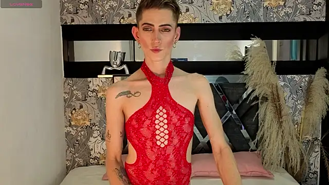 dominic_thailor Chat XXX live