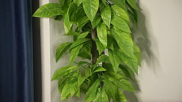 MistyErice – Naživo XXX chat