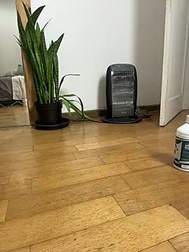 Nikatsu Live XXX-chat