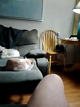 AsmaaMistress: διαδικτυακό σόου στην κάμερα