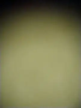 Julie9toma Live XXX-Chat