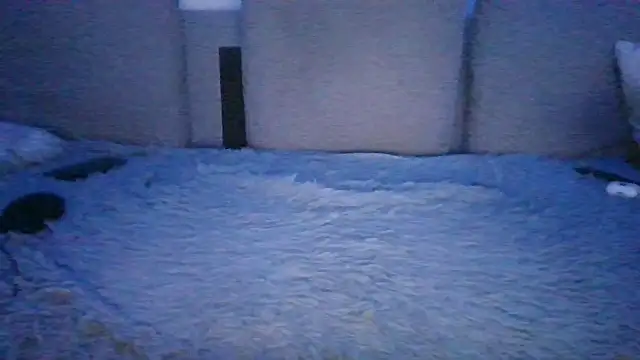 عرض كام chichoplus