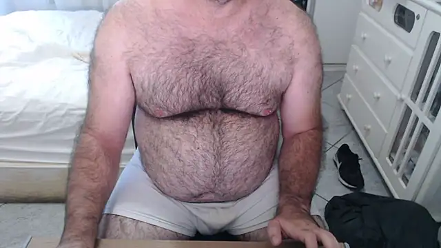 Show Webcam de MysterBearMG