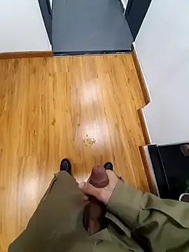 عرض كام Alp212