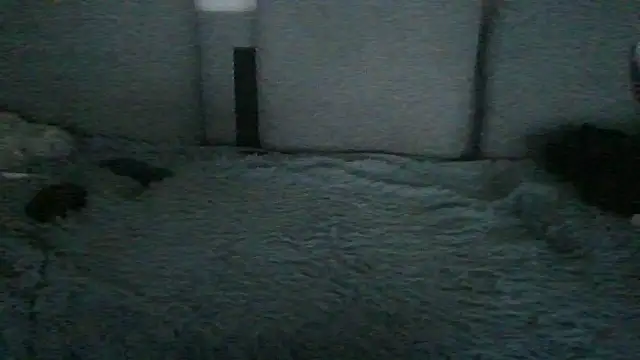 chichoplus Show Webcam