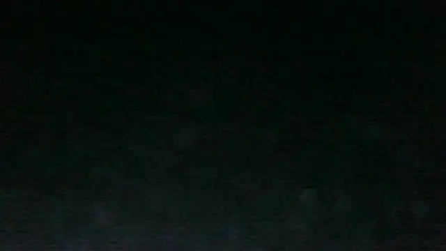 Chichoplus1 Pertunjukan Webcam