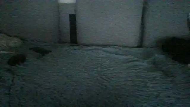 Chichoplus1 在線直播表演