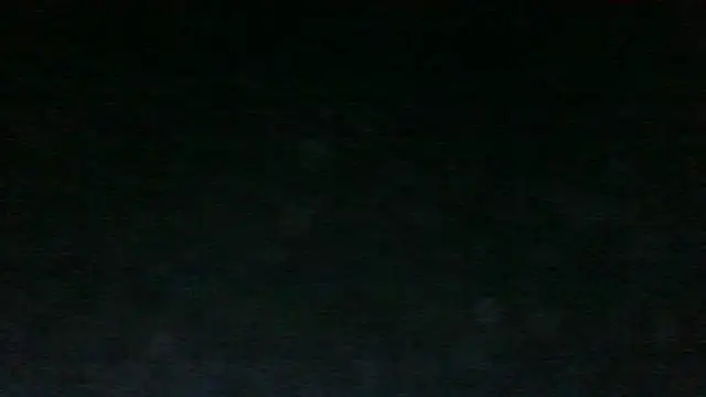 Chichoplus1 Show in webcam