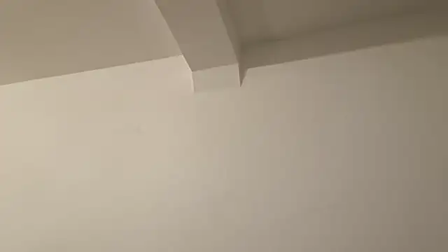 HandSom3Guy Webcam-Show