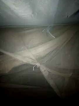 EnnSung 网络视讯表演