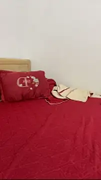 vietAnhzip 在線直播表演