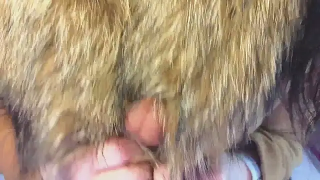 Hungryforme Adlı Modelin Canlı XXX Sohbeti