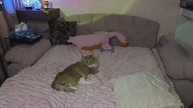 Vivian_Davis 라이브 XXX 채팅