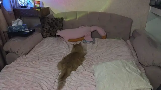 Vivian_Davis Adlı Modelin Canlı XXX Sohbeti