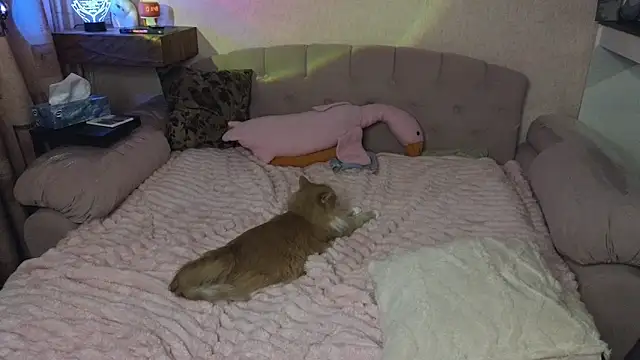 Онлайн чат XXX Vivian_Davis