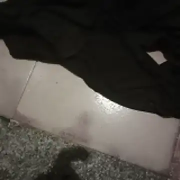 Show de webcam de ramesh65