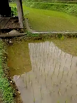 Show webcam de Mryy-ryy