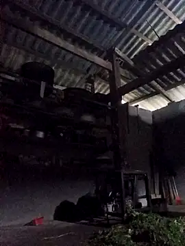 jerry-xx Live XXX-Chat