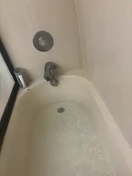 Show webcam de oneformoney