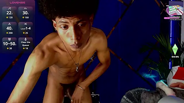 Walkers05: διαδικτυακό σόου στην κάμερα