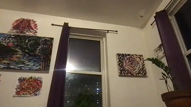 Webkamerová show frenchiego