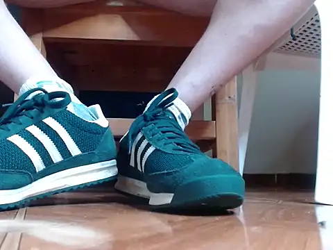 alphaswitchard – Kamerová šou