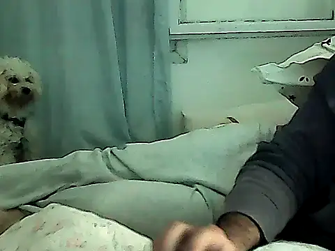 zebbi29GguyTn Webcam-Show