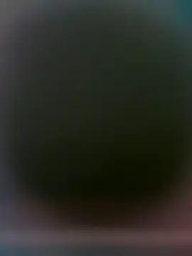 Pertunjukan Kamera Web yourMasterisBored