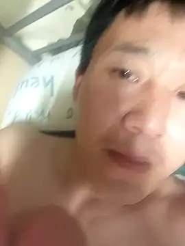 wadmma 在線直播表演