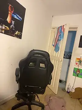 cam11_07 网络视讯表演