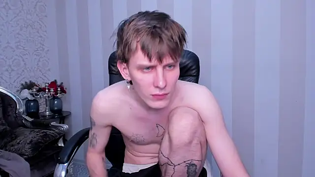 Show de PackBev na webcam