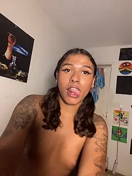 عرض كام cam11_07