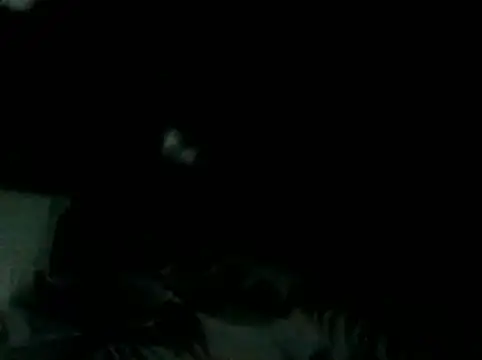 KissMeAss9387 Chat XXX in diretta