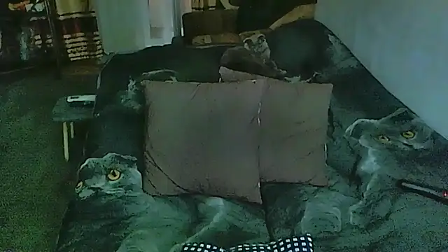 sex2 Chat XXX in diretta