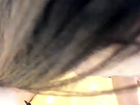 fiveweiwei Live XXX-Chat