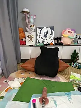 taozi18 Show in webcam