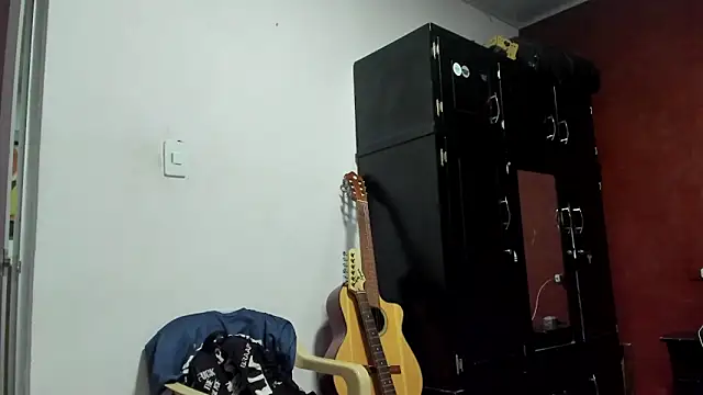 VincentSavage webcam show