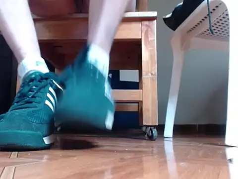 alphaswitchard – Kamerová šou