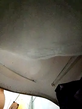 Show de webcam de branquinho3