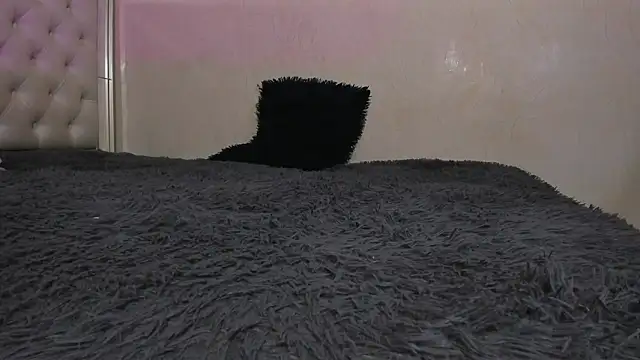 Im_XanderSmith Webcam Show