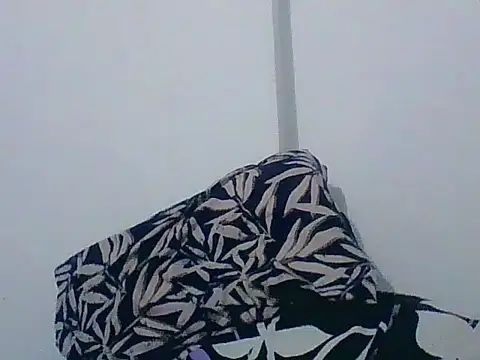 indiana_party live XXX chat