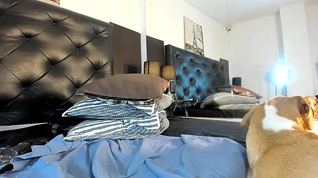 Kymy_marquez Live XXX-chat