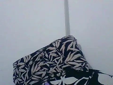 Show webcam de indiana_party