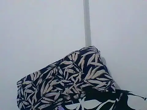 Chat XXX en directo de indiana_party